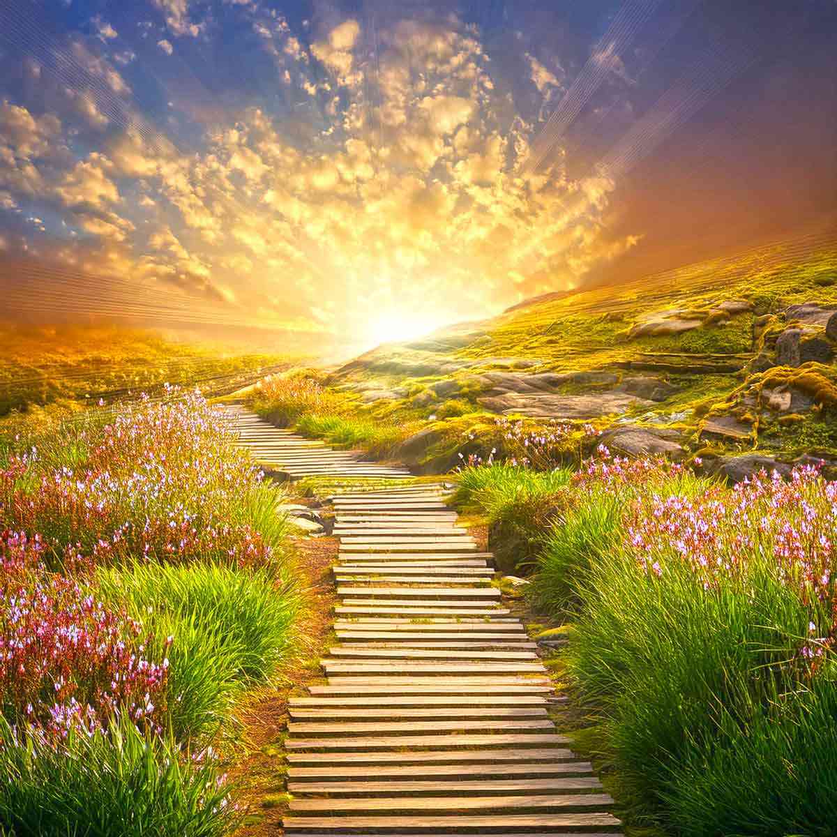 Put-do-duhovne-zrelosti